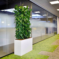 da630838-2309-46de-90a7-2e1f85f950fb