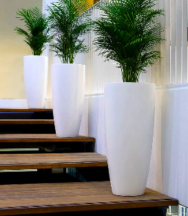 f21d74be-fa92-4c68-b5c2-ee4191fe4065